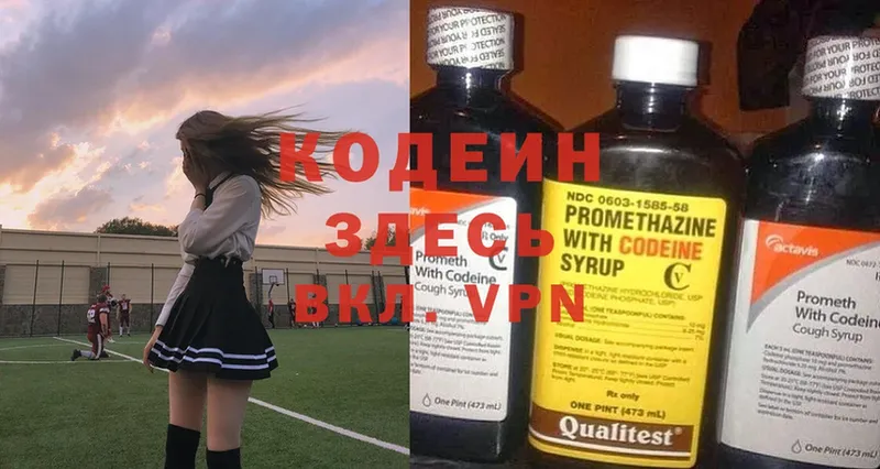 Кодеин напиток Lean (лин)  блэк спрут как войти  Дигора  наркота 